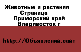  Животные и растения - Страница 10 . Приморский край,Владивосток г.